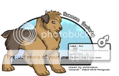 User Image